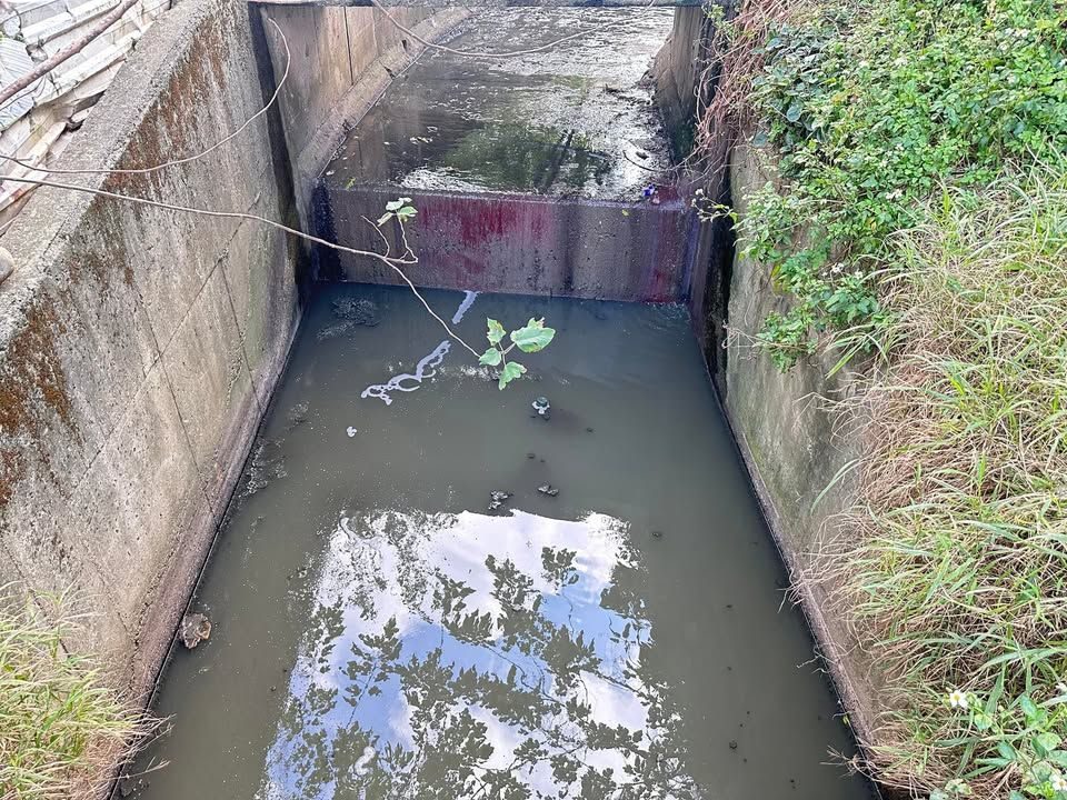 雙連三段6巷旁水圳會勘與清洗