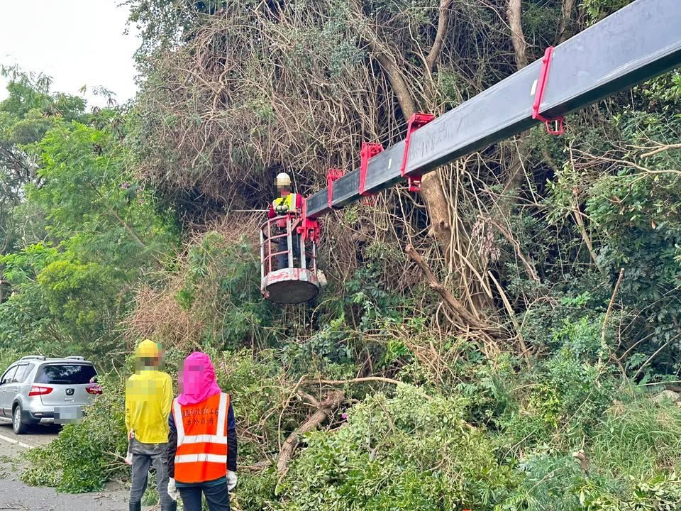 陸光路路樹修剪清運完成